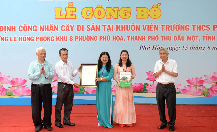 Cây[-]Điệp[-]Phèo[-]heo[-]Trường[-]THCS[-]Phú[-]Hòa[-]được[-]công[-]nhận[-]Cây[-]Di[-]sản[-]Việt[-]Nam